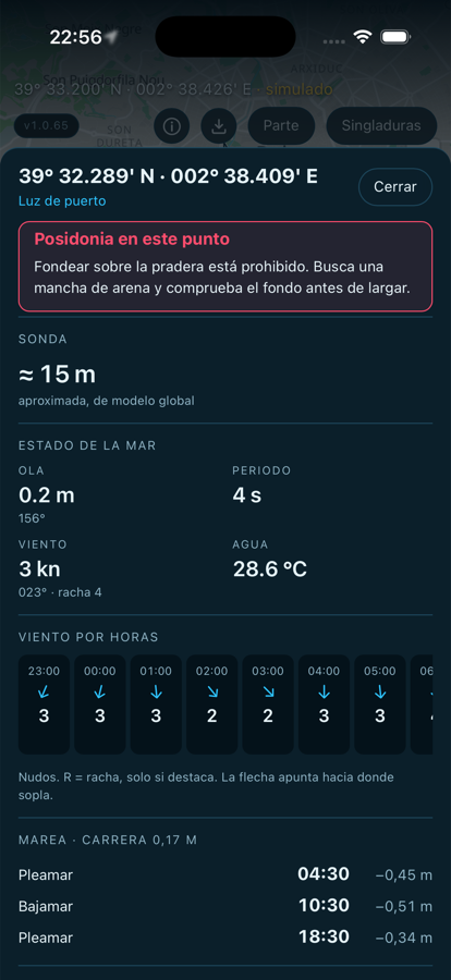 Ficha de un punto de la carta con sonda, posidonia, estado del mar y marea